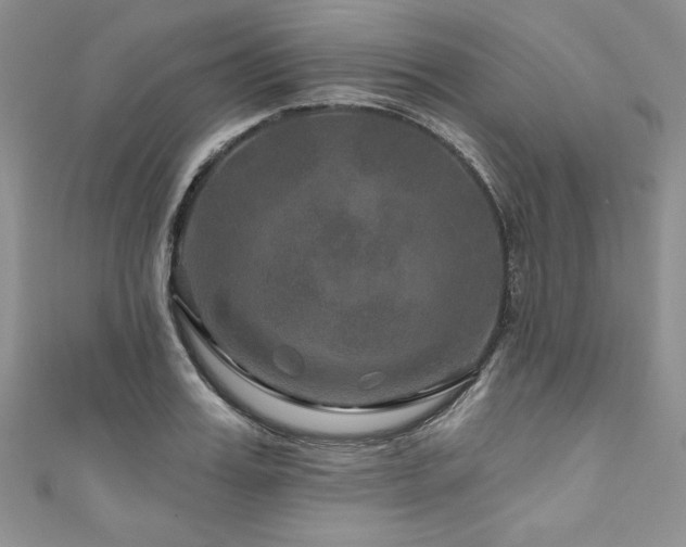 X0000111200987200907011429