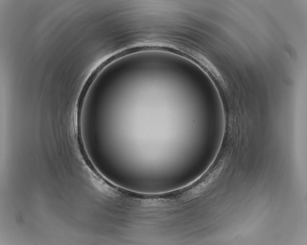 X0000111200988200907011429