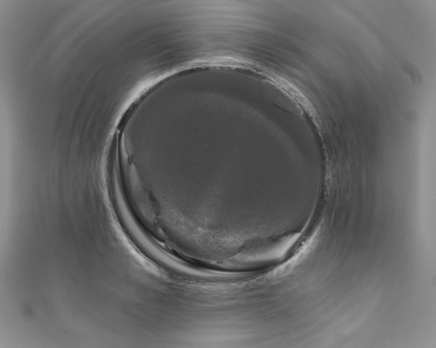 X0000111200989200907011429