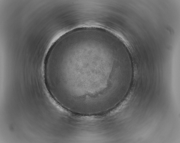 X0000111200990200907011429