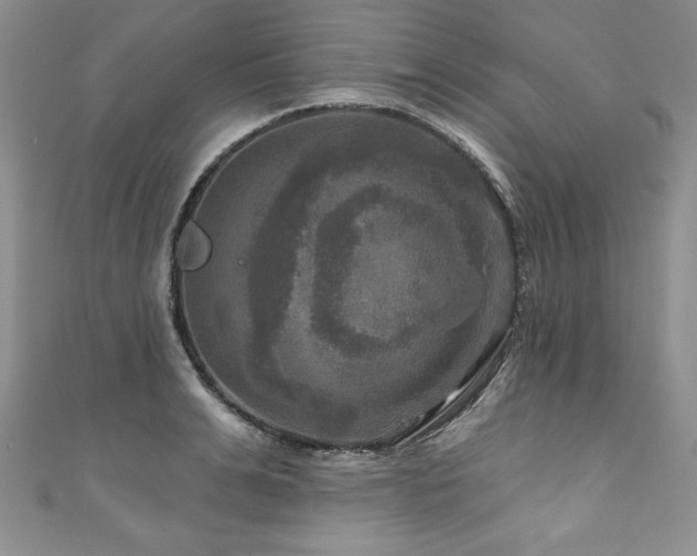 X0000111200991200907011429