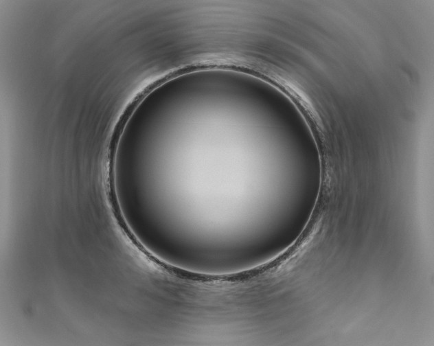 X0000111200992200907011429