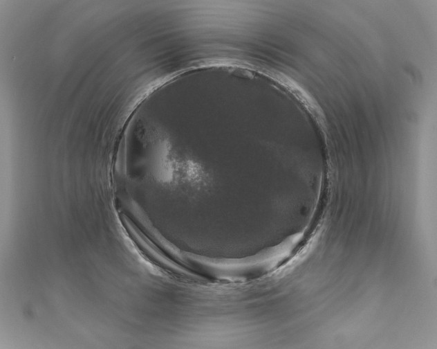 X0000111200993200907011429