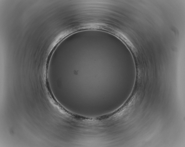 X0000111200994200907011429