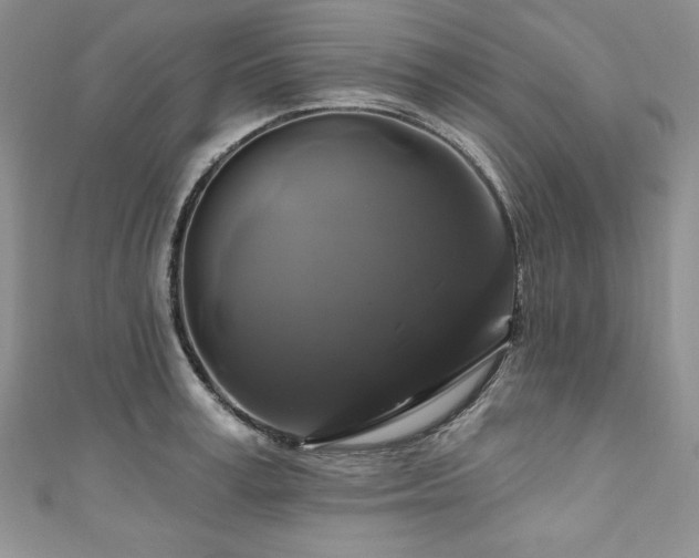 X0000111200995200907011429