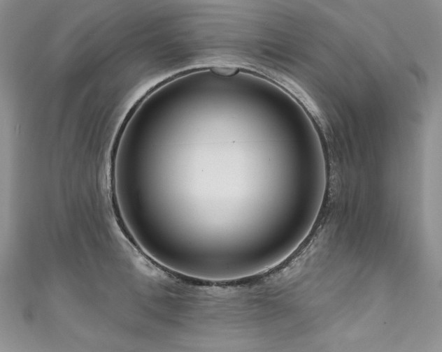 X0000111200996200907011429