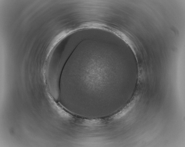 X0000111200997200907011429