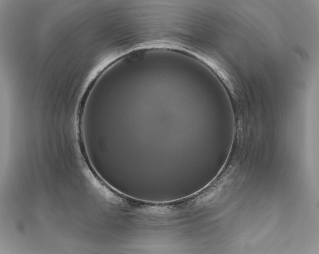 X0000111200998200907011429