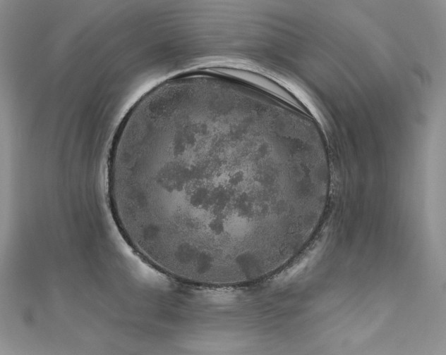 X0000111200999200907011429