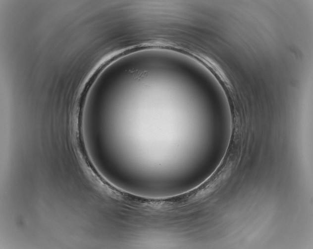 X0000111201000200907011429