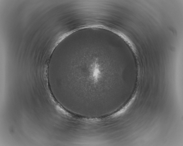 X0000111201001200907011429