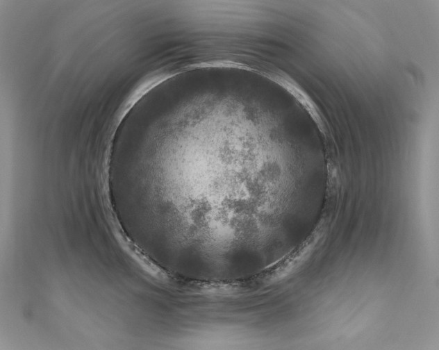 X0000111201002200907011429