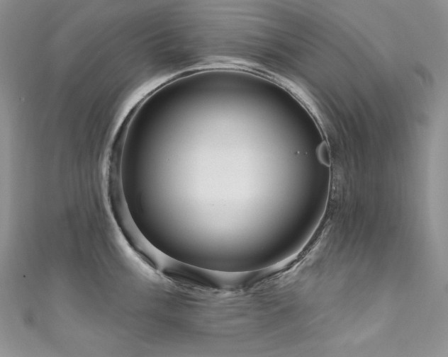 X0000111201003200907011429