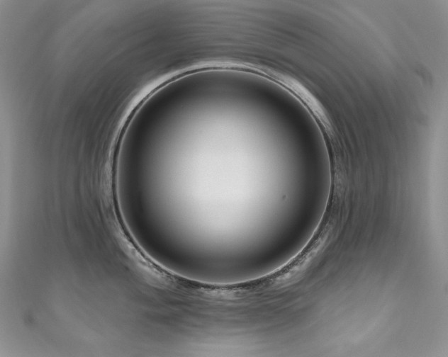 X0000111201004200907011429