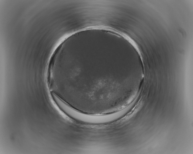 X0000111201005200907011429