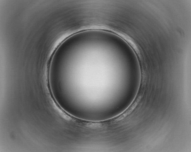 X0000111201006200907011429