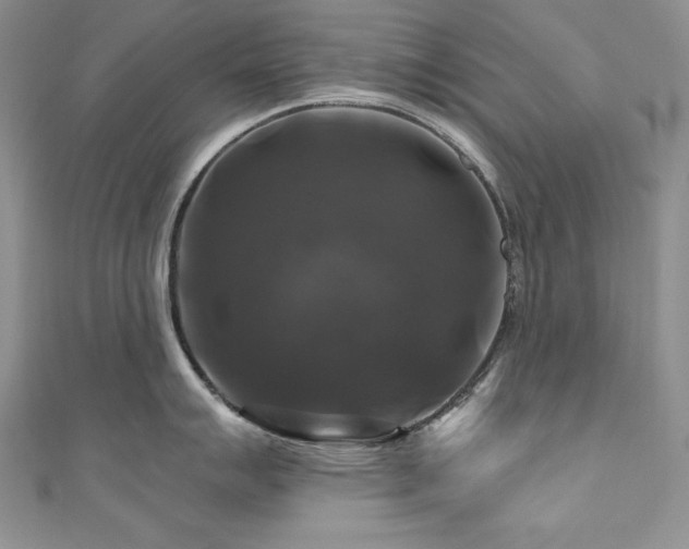 X0000111201007200907011429