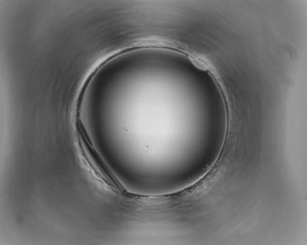 X0000111201008200907011429