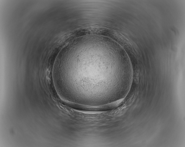 X0000111201010200907011428
