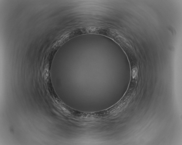 X0000111201011200907011428