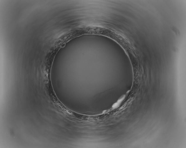 X0000111201013200907011428