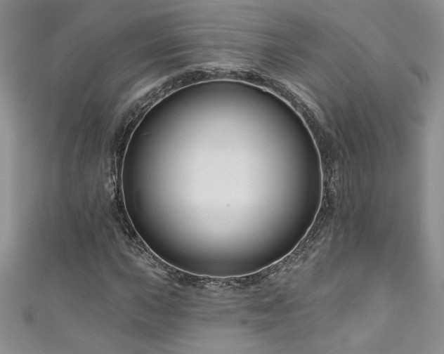 X0000111201015200907011428