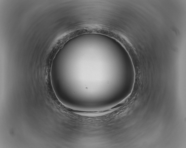 X0000111201016200907011428