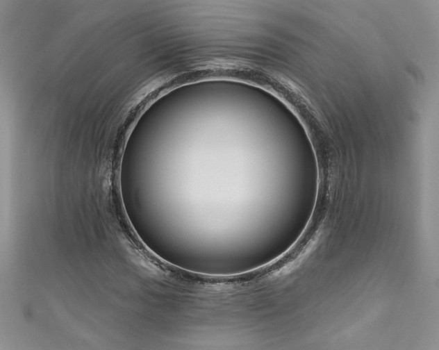 X0000111201017200907011428