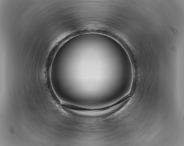 X0000111201018200907011428