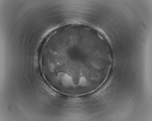 X0000111201019200907011428