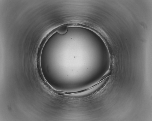 X0000111201020200907011428