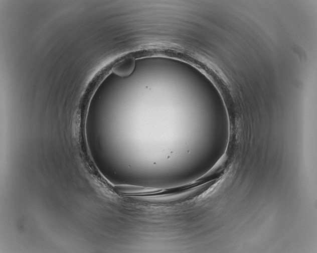 X0000111201021200907011428