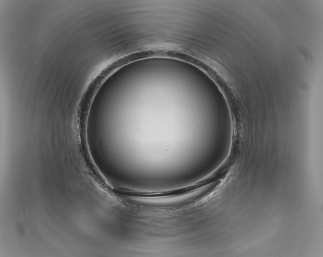 X0000111201022200907011428