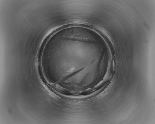 X0000111201024200907011428