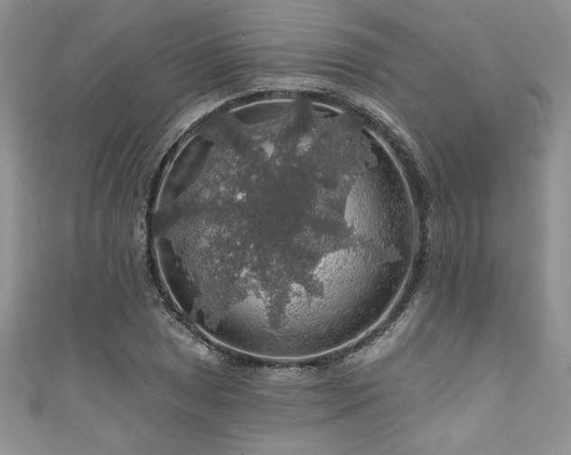 X0000111201025200907011428
