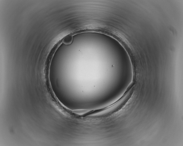 X0000111201026200907011428