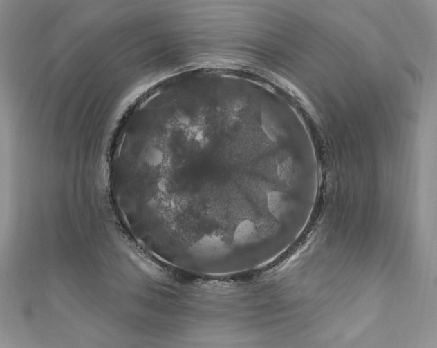 X0000111201027200907011428