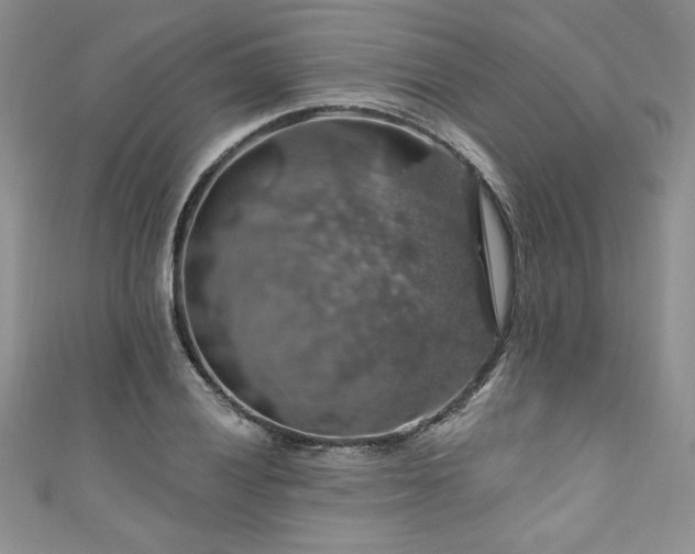 X0000111201028200907011428