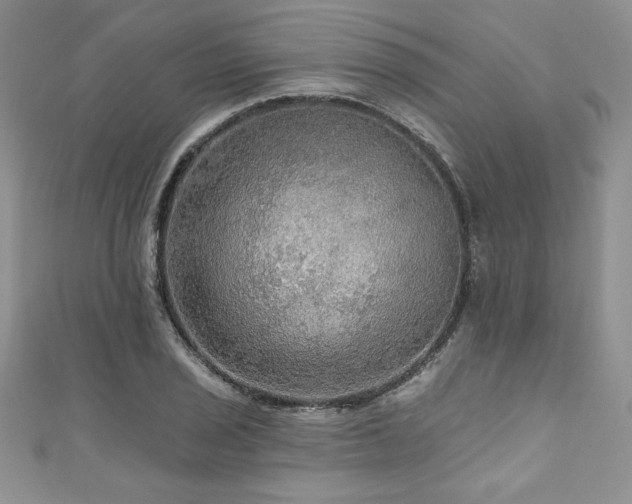 X0000111201029200907011428
