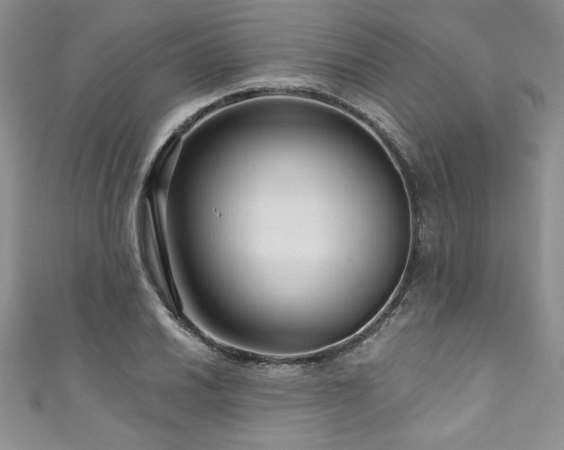 X0000111201030200907011428