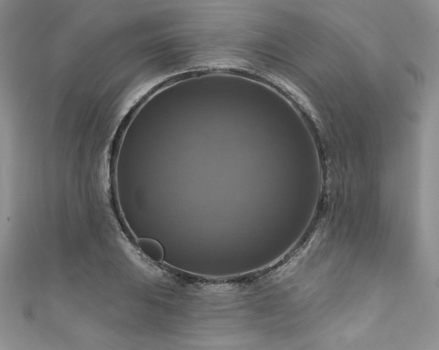 X0000111201031200907011428