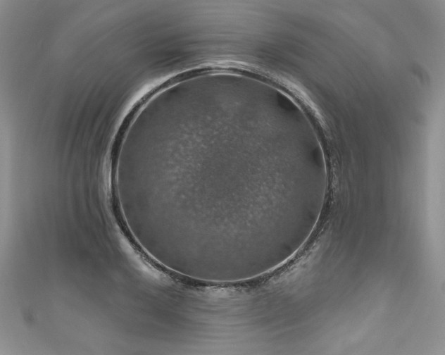 X0000111201032200907011428