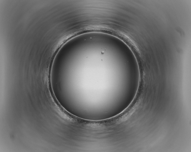 X0000111201033200907011429