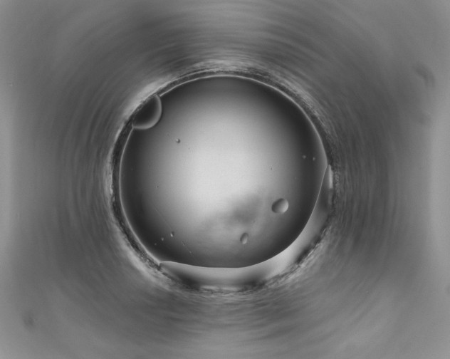 X0000111201034200907011429