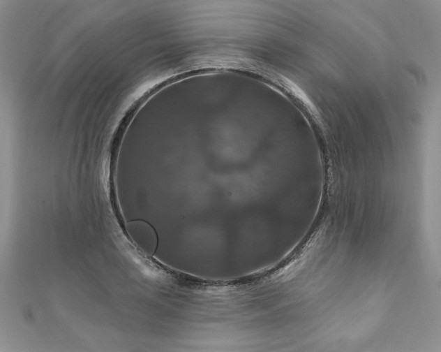 X0000111201035200907011429