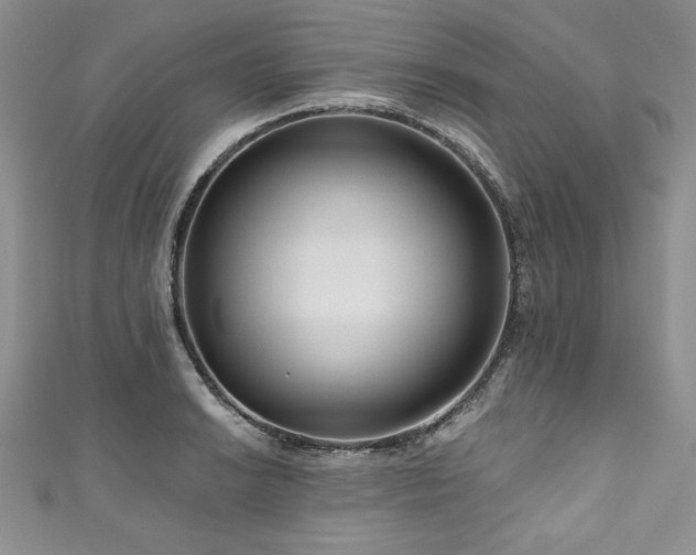 X0000111201038200907011429