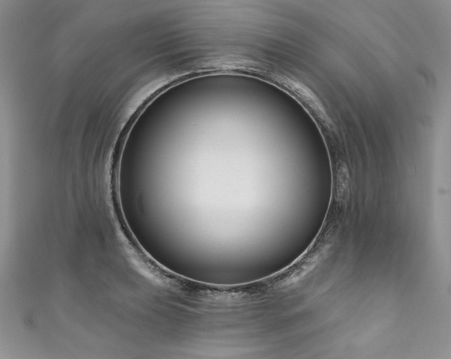 X0000111201039200907011429