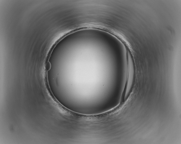 X0000111201040200907011429