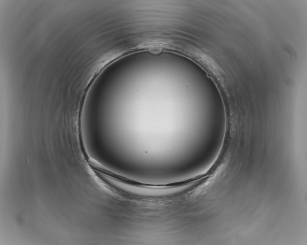 X0000111201041200907011429