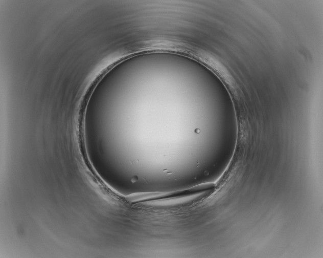 X0000111201043200907011429